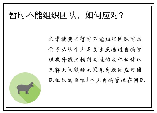 暂时不能组织团队，如何应对？